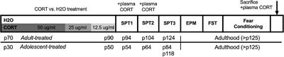 Sex- and age-dependent effects of chronic corticosterone exposure on depressive-like, anxiety-like, and fear-related behavior: Role of amygdala glutamate receptors in the rat